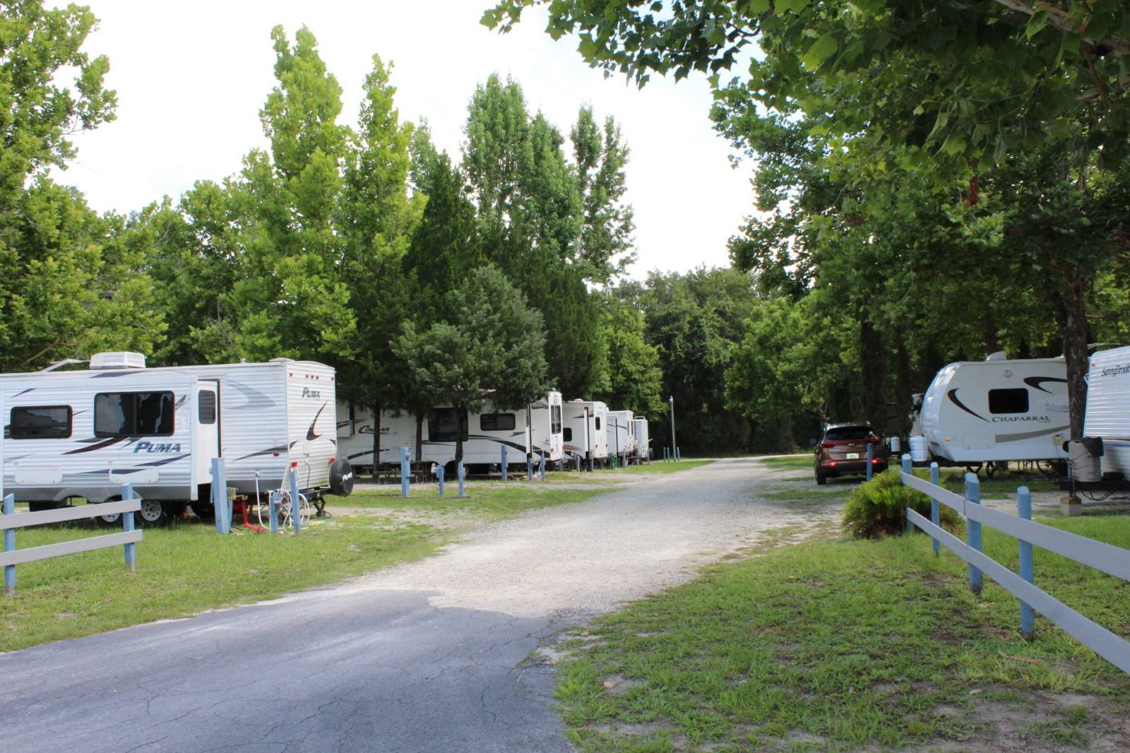 Motorhomes and travel trailers on full hookup sites at Quail Roost RV Park